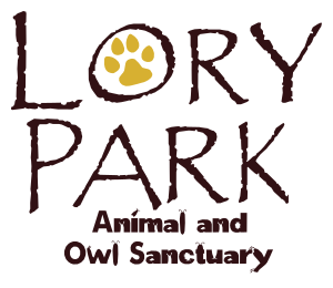 Lory Park Zoo Logo