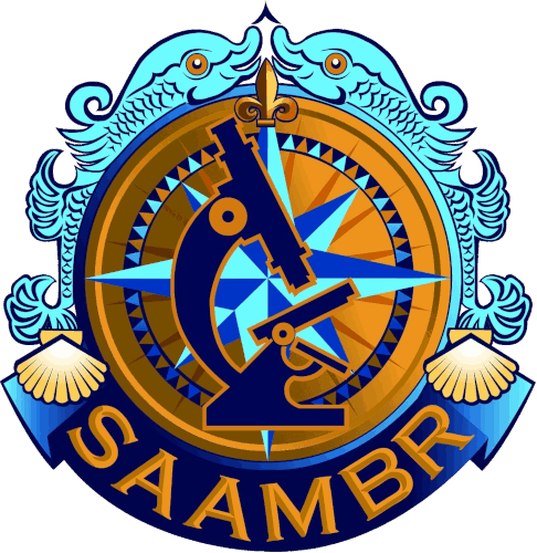 SAAMBR