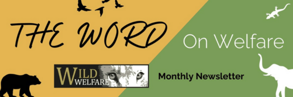 Wild Welfare Newsletter