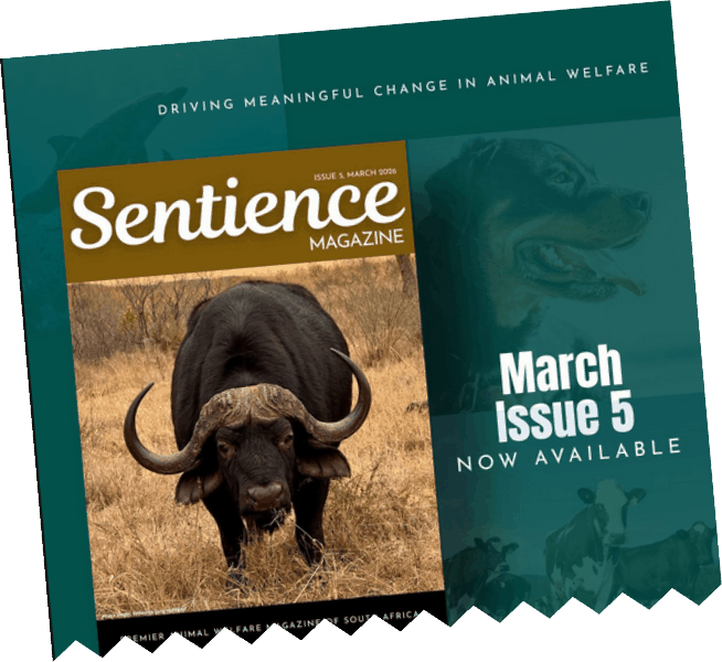 Sentience Magazine Issue 5