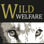 Wild Welfare